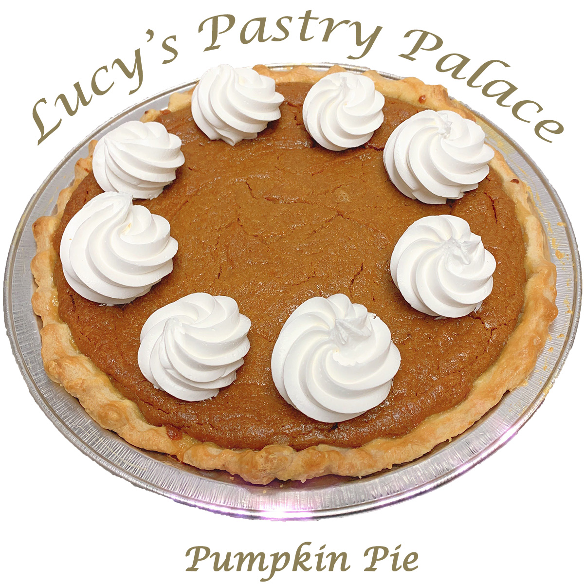 Pumpkin-Pie-1_1200x1200_Lucys-